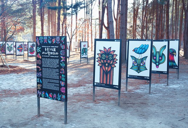 济州冬日的海，首尔春日的花，那些电影里的故事