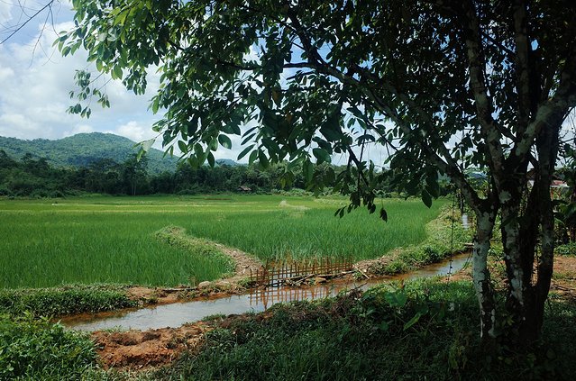 去那方简朴的国度干一瓶Beerlao‖老挝慢生活