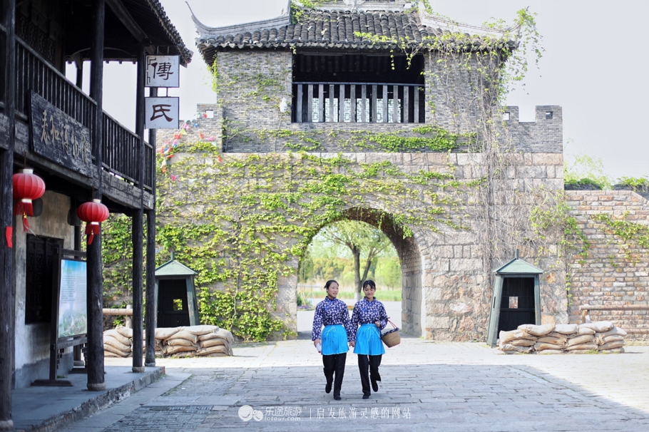 原味江南|在春日繁花烂漫的沙家浜,等风也等你
