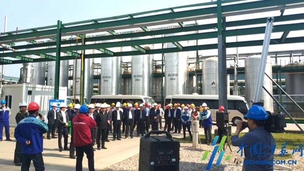 张育林带队观摩泰兴经济开发区“项目质效大提升”项目现场