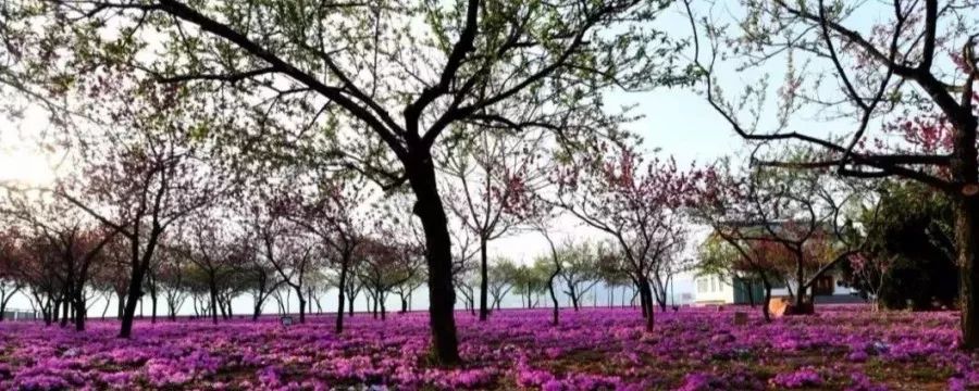 人说好山好水好风光,人说河南好风光