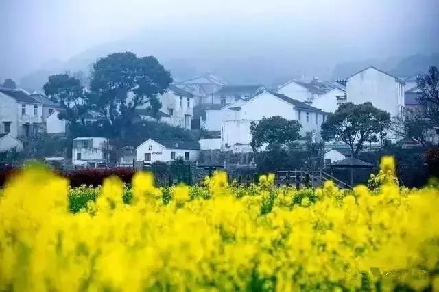 必点海鲜酒店优惠,舟山值得去的海景酒店