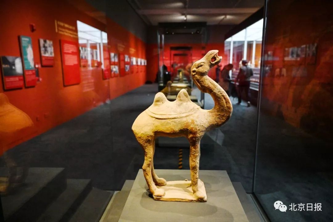 聚焦｜归来！意大利到北京，700余件中国*物文**的回家路走了12年