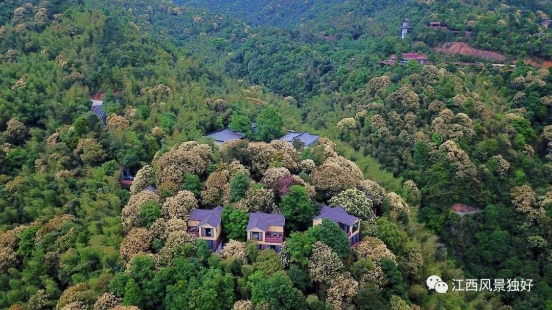 江西省中国十大名山,江西省十大名山最新排名