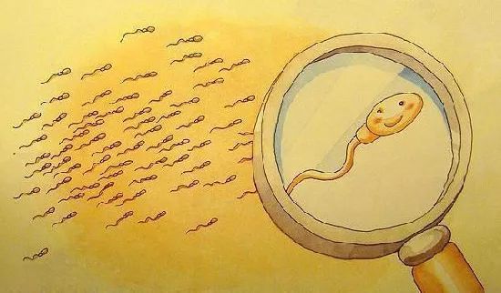 备孕二胎父亲该做什么,备孕时准爸爸注意事项有哪些