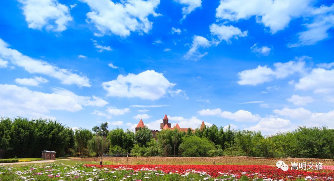 来一场说走就走的旅行来云南看雪,来一趟云南之旅吧