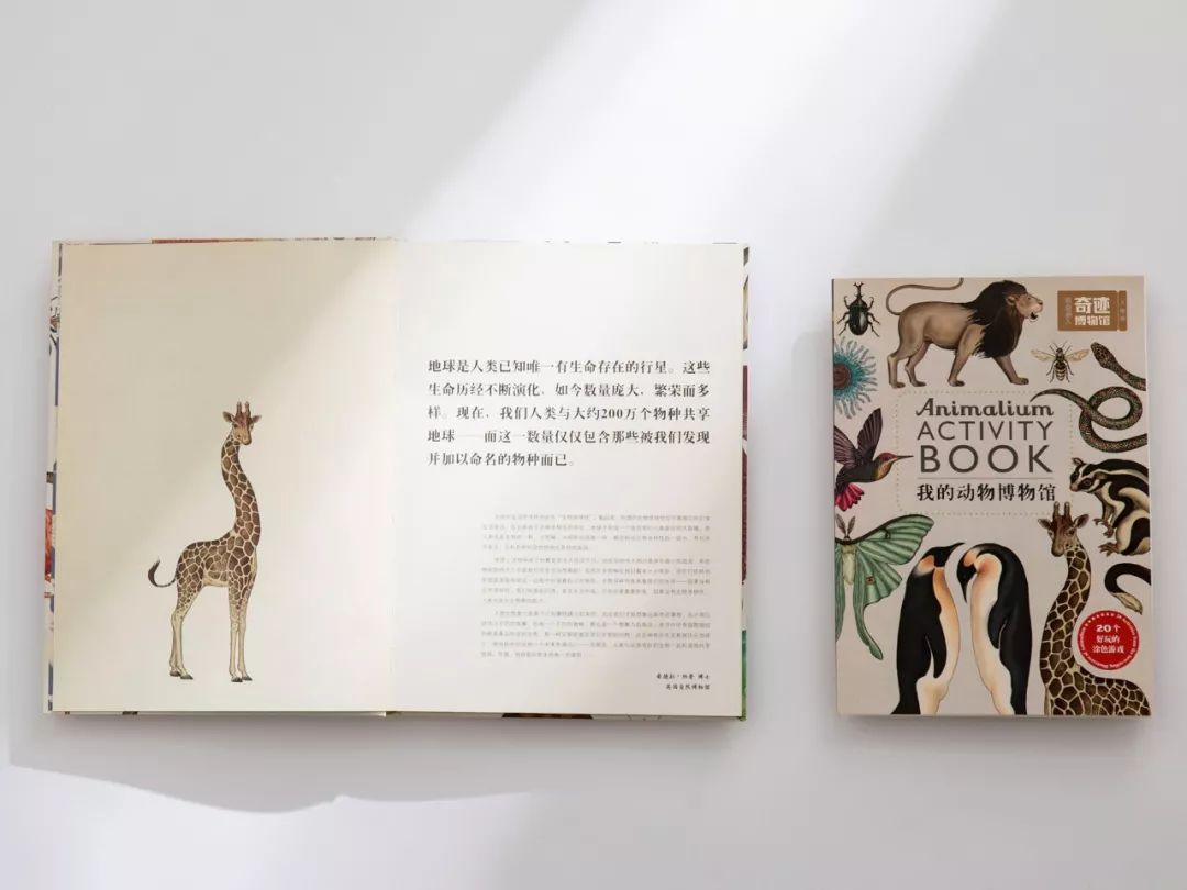 堪称一绝的野生动物画,世界动物画谱