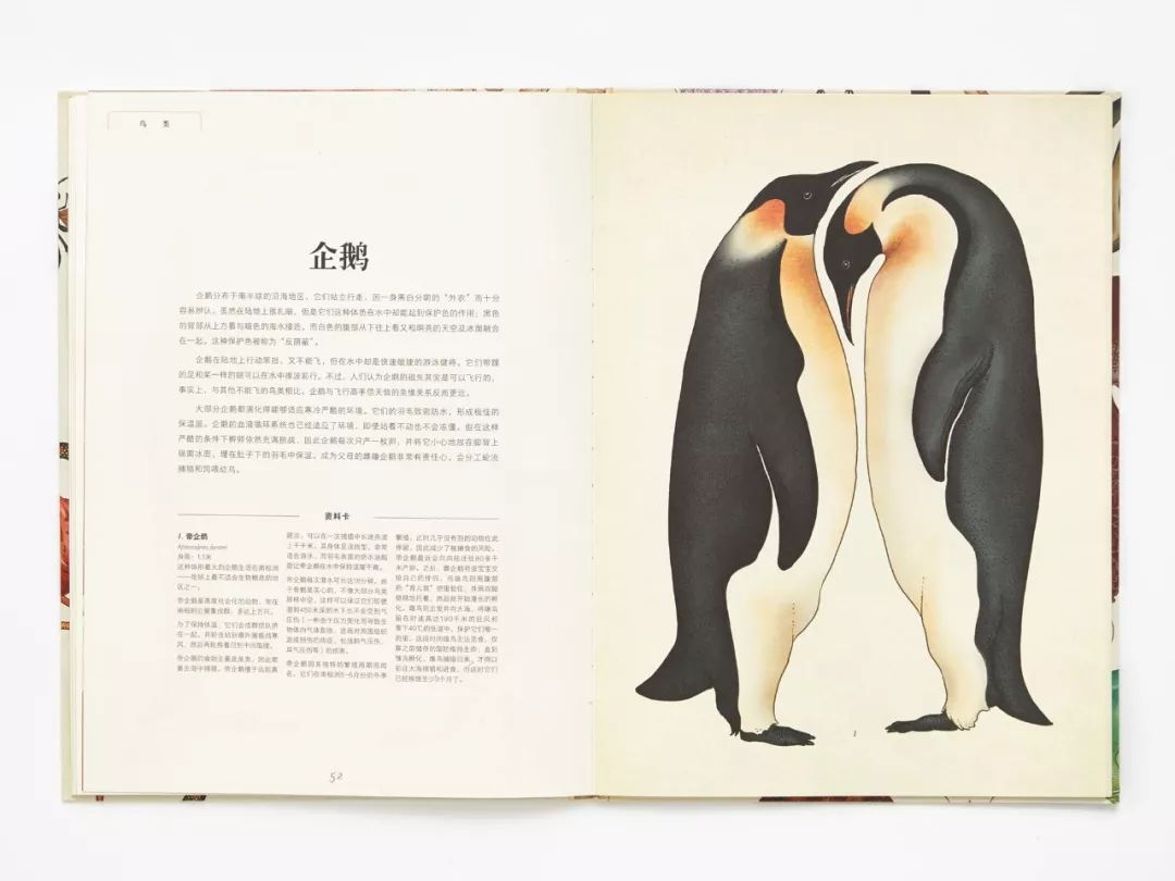 堪称一绝的野生动物画,世界动物画谱