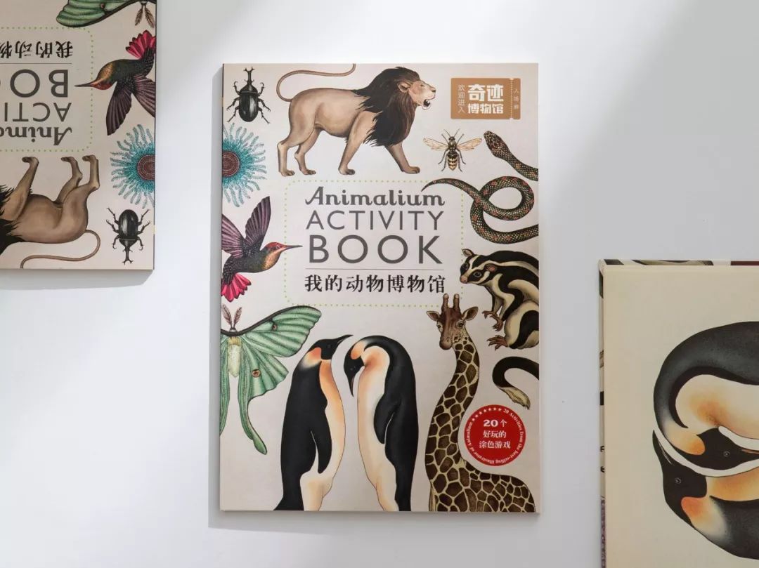 堪称一绝的野生动物画,世界动物画谱