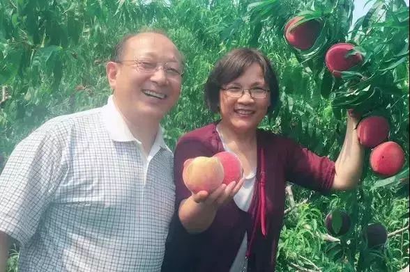 娴峰彛瑗挎捣宀告俯娉夊摢閲屽ソ,闈掑矝瑗挎捣宀告俯娉夊摢閲屽ソ