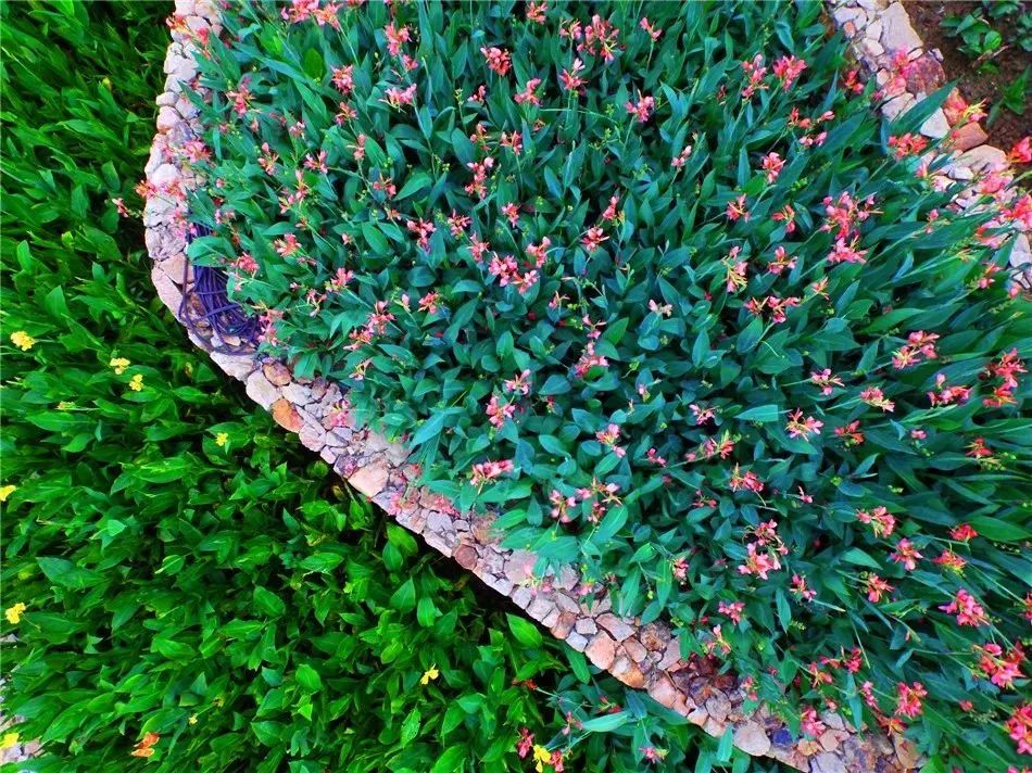 汉口里五一节有什么活动,汉口里五一活动