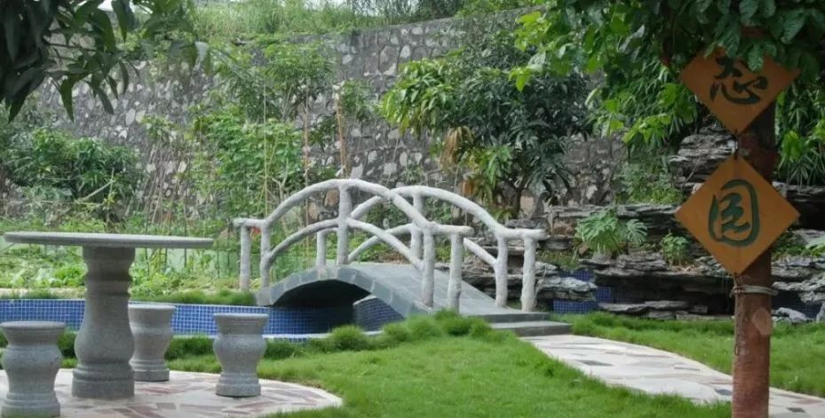 龙岗中心小学扩建后更名,龙岗区学位申请最新消息