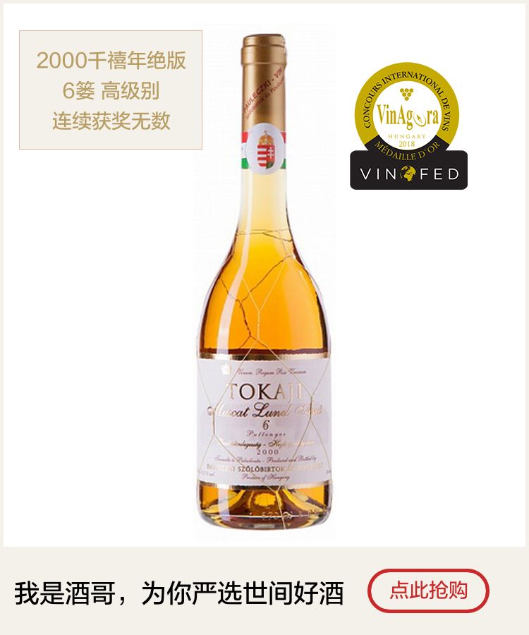 舟子方,舟子最后的结局