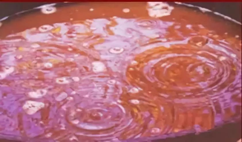 疆美特色美食,疆滋味新疆名优特产