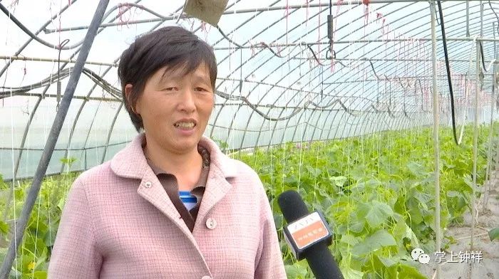 钟祥市：扶贫车间就近就业，脱贫致富不等不靠