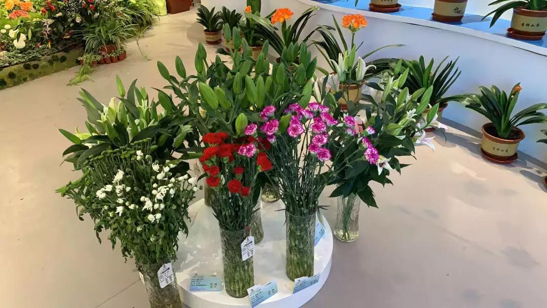 总书记来到世园会黑龙江馆，“花仙子”导游推介龙江园艺特色！