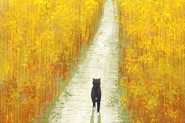 陈忠实的初夏,陈忠实的中篇小说初夏