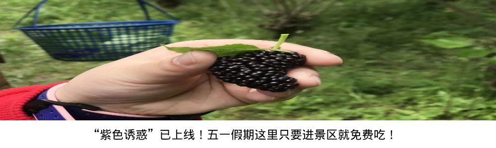 宁波室外十大网红游乐项目,宁波休闲打卡地