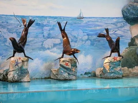 去处｜你真的知道怎么玩转上海野生动物园吗？最全指南在这里！