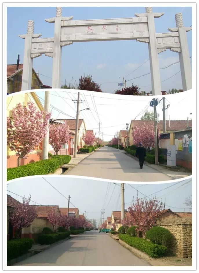 妇联助力人居环境整治行动,助力人居环境整治呵护美好家园