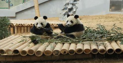 大连五一小长假游玩地推荐,五一旅游热门地方大连