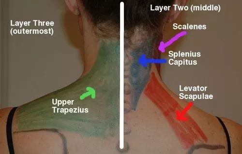 童星逆袭式长大后的样子,童星逆袭到世界冠军