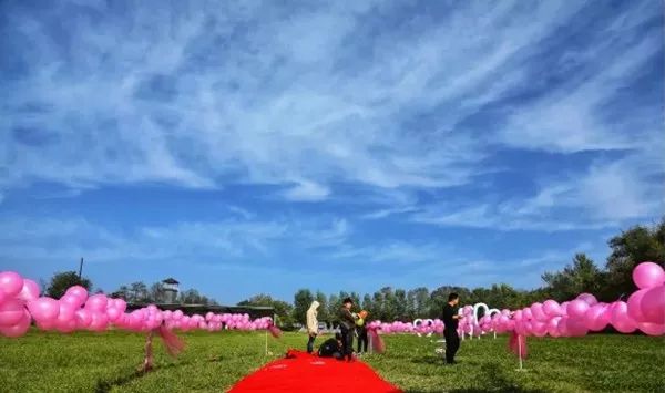 错过等一年,错过等一年歌曲视频