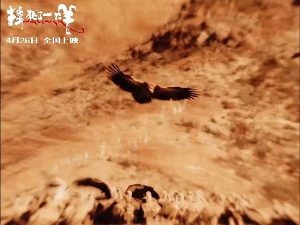 撞死一只羊救赎之旅,撞死一只羊现实与梦幻的隐喻