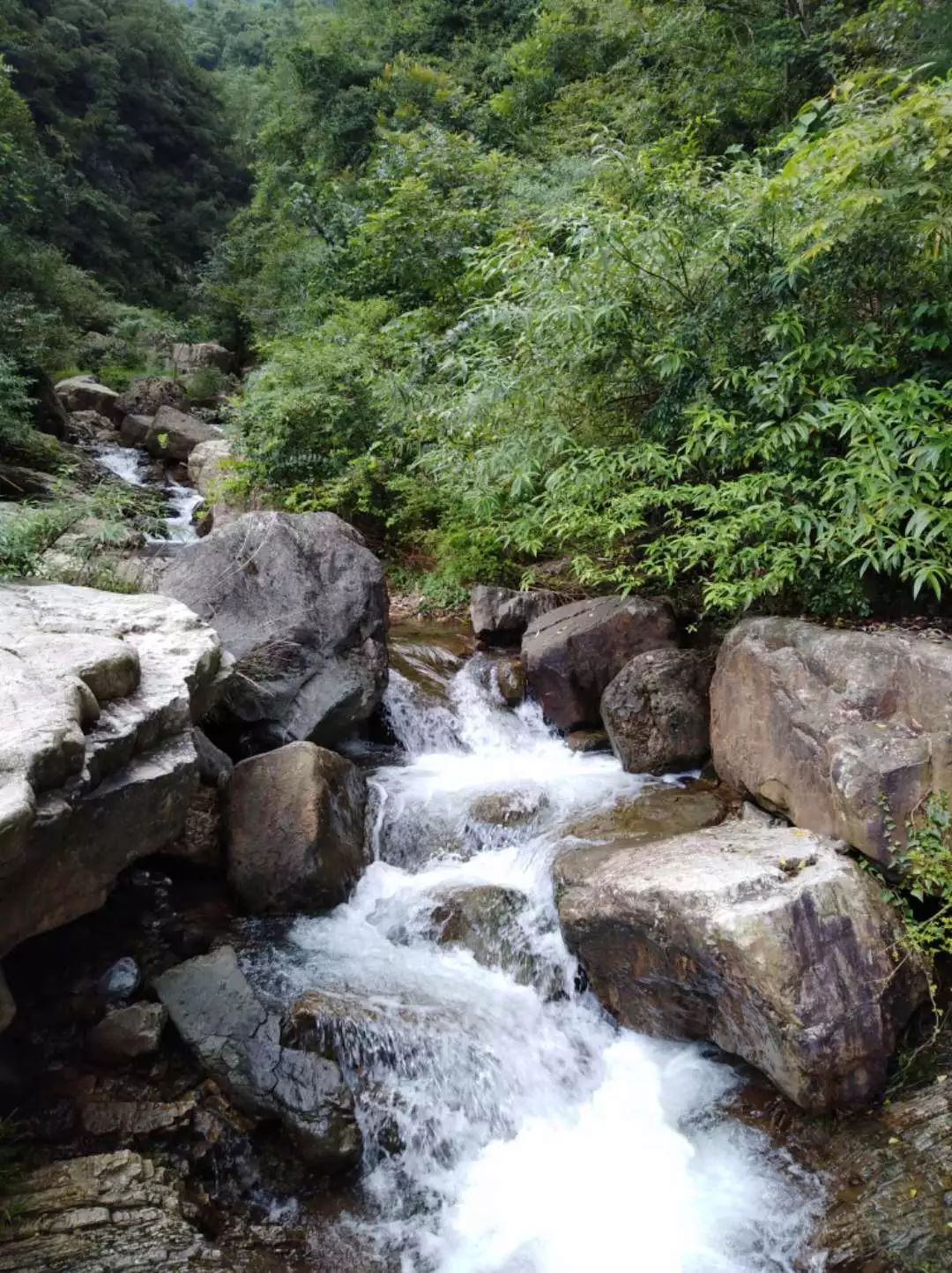 拒绝人从众模式,拒绝人从众的意思