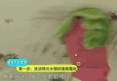 牙膏去除发霉的墙壁小妙招,75%酒精可以消除墙壁发霉的霉菌吗