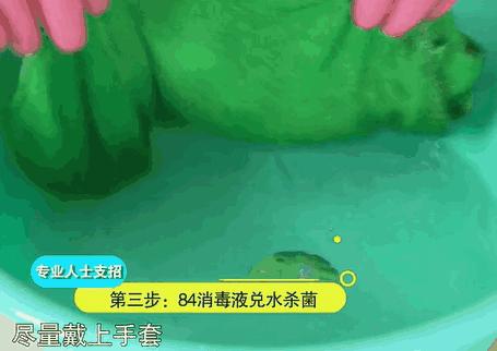 家里墙壁发霉怎么快速去除,墙壁发霉有很多小虫子怎么去除