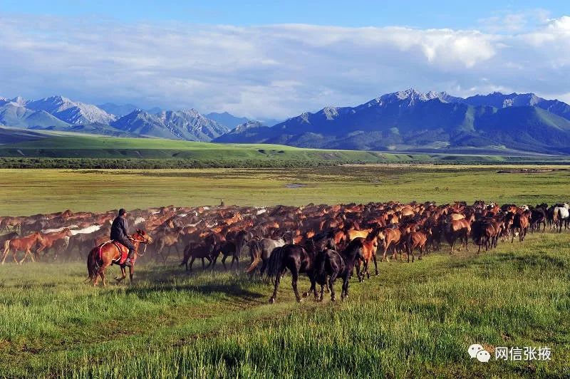 世界第一马场,世界上第一大的马场在哪里呢