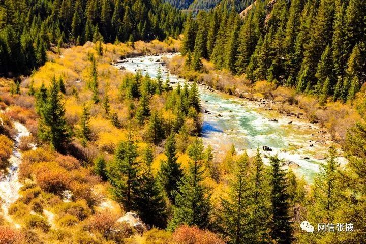 世界第一马场,世界上第一大的马场在哪里呢