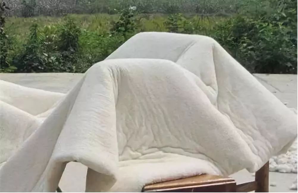 不用洗床单晒被子怎么除螨虫,螨虫去除妙招不用花露水