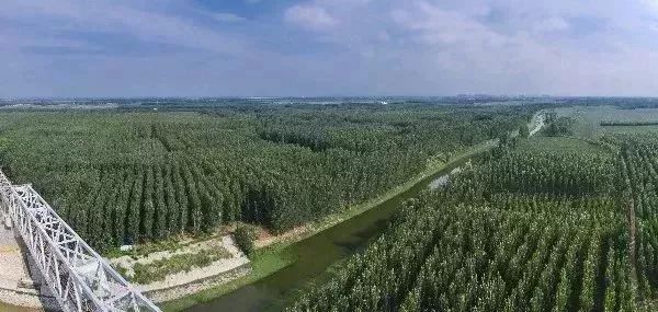 如果不打开这篇文章，你永远不会知道沧州居然可以这么好玩|漫游冀（12）