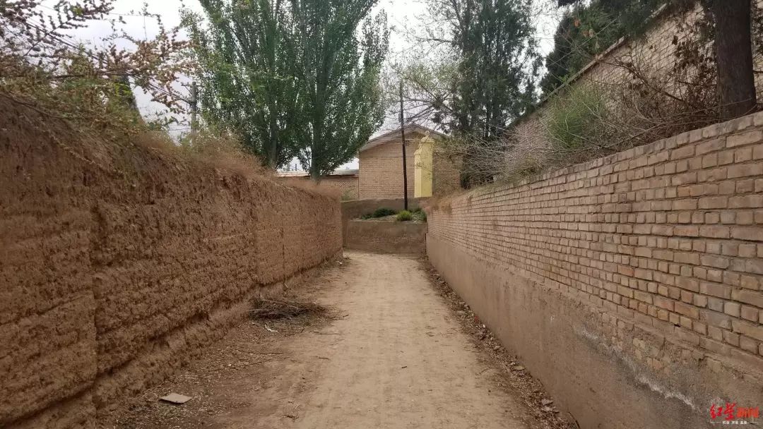 后脑勺头盖骨被打破,*体下**肿成两个拳头大!14岁少年竟被同学活活打死了