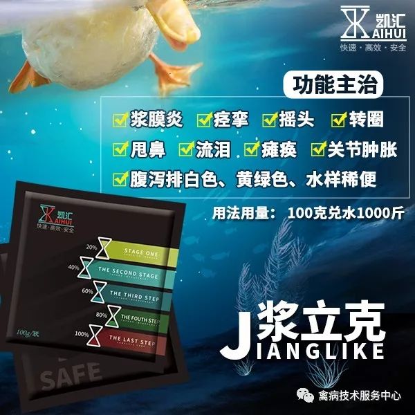 鹅老是拉稀怎么办,鹅突然拉白屎是什么原因怎么治疗