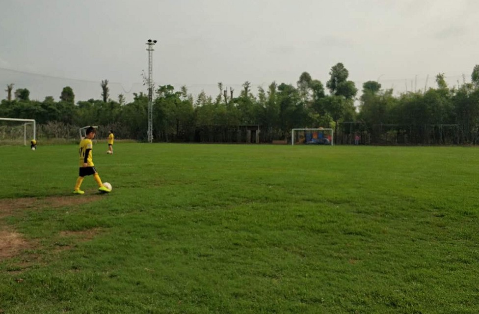 足球被踢脑震荡,飞来横祸女子被飞石砸中身亡