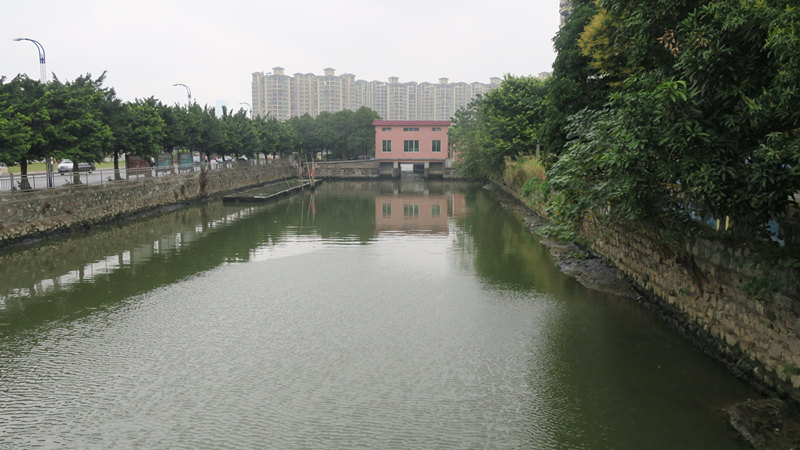 番禺治污不力局长被免职,广州河涌整治问责