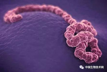 哪些消毒剂可以杀死新冠病毒,家用消毒液能杀灭新冠病毒吗