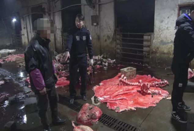 严厉打击食药环假领域违法犯罪,公安部打击食药环犯罪工作通报