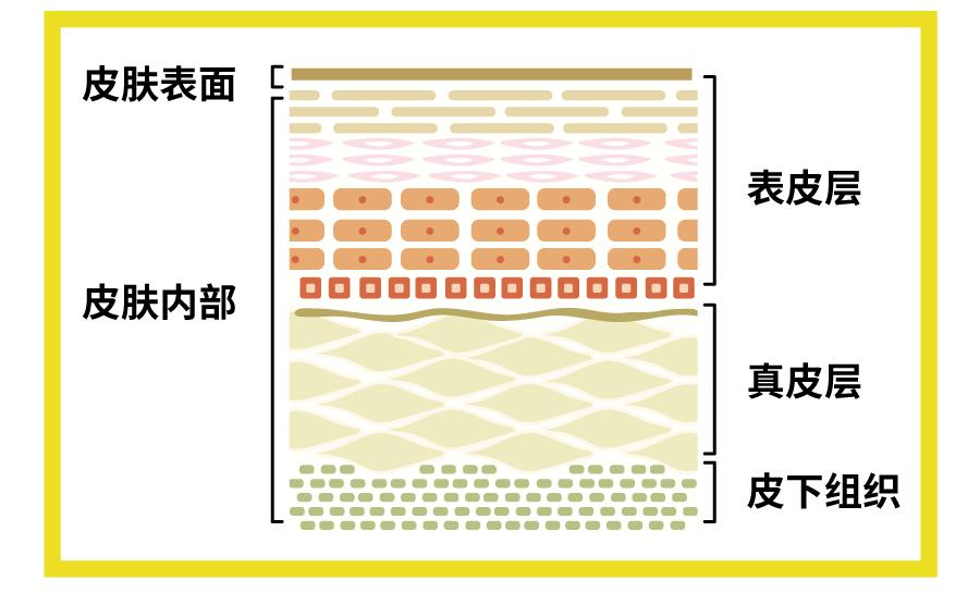 醒醒吧这些美妆骗局你必须知道,商家可能都不会告诉你的十个细节