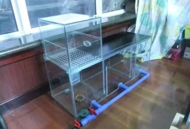 1.5米生态缸的用料及造景,1.2米的缸适合做什么缸