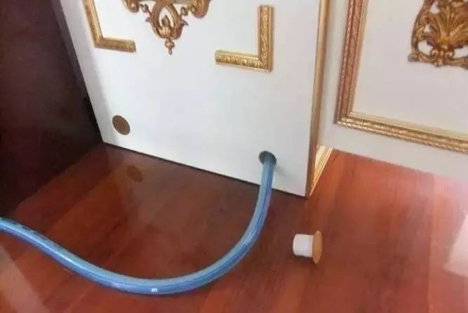 1.5米生态缸的用料及造景,1.2米的缸适合做什么缸