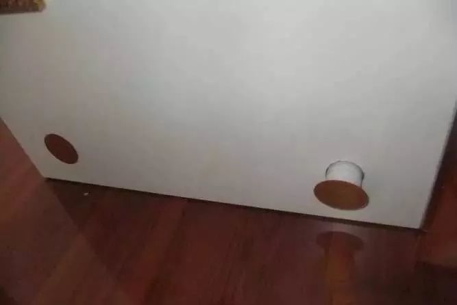 1.5米生态缸的用料及造景,1.2米的缸适合做什么缸