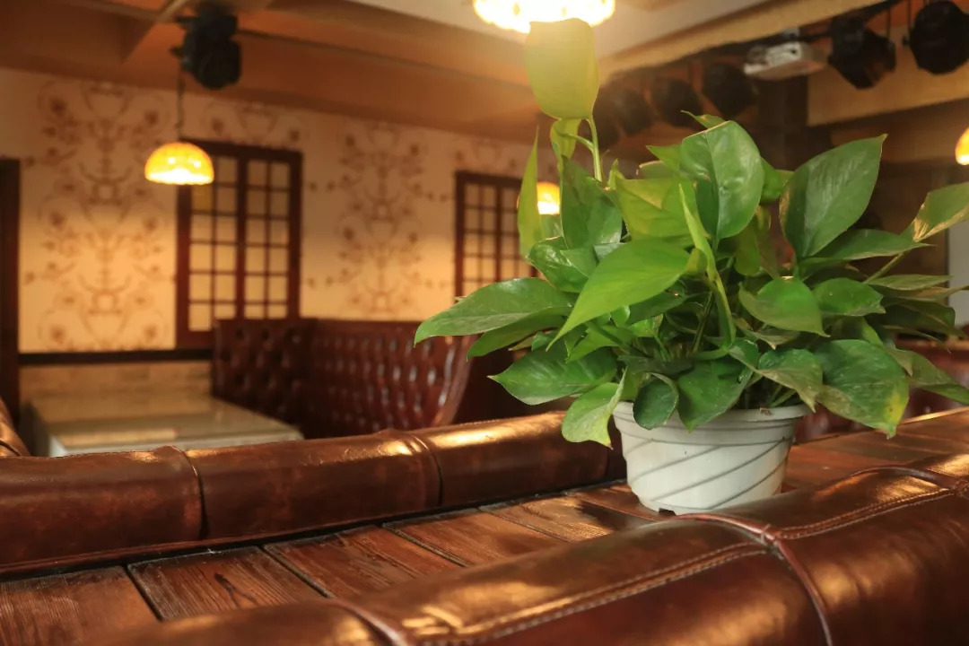 吃货们有口福了,吃货们有口福了完整版