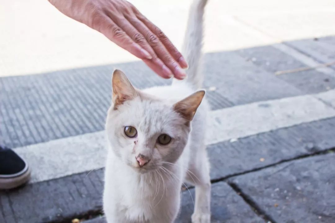 去了趟泉州，回来把广州早茶宵夜都给忘了