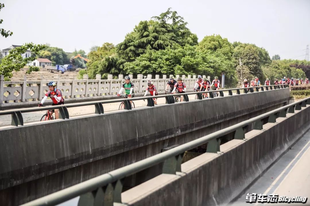 建大adv龟背轮胎,2019款建大轮胎测评
