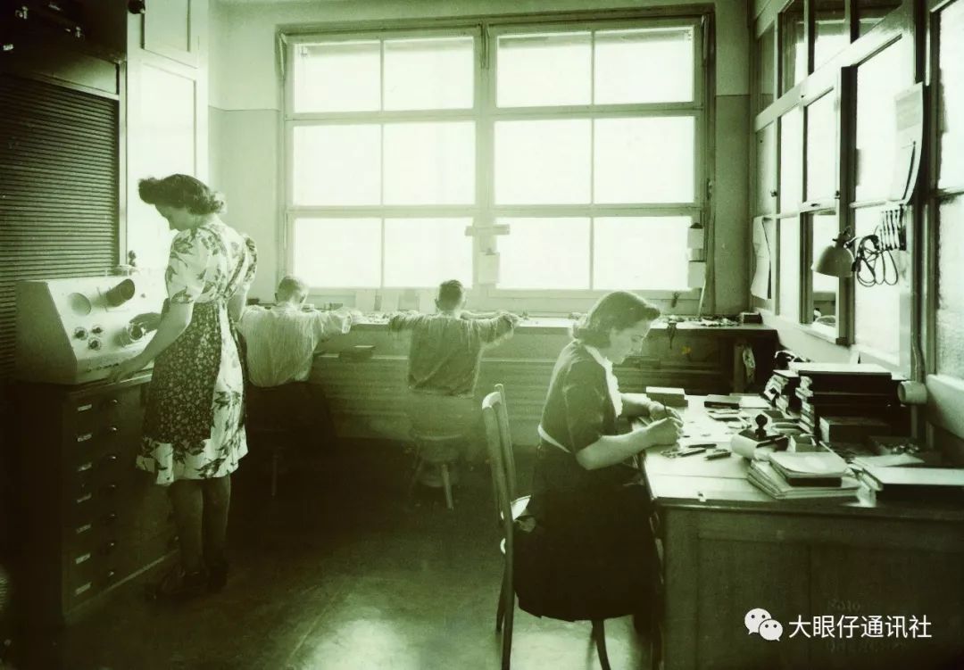 梅花100幅国画,梅花100个表情符号含义