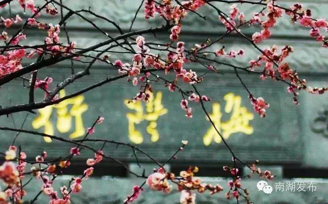 你的地盘你做主你的主场,你的地盘你做主视频